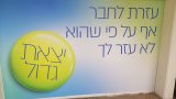 אורט סינגאלובסקי6